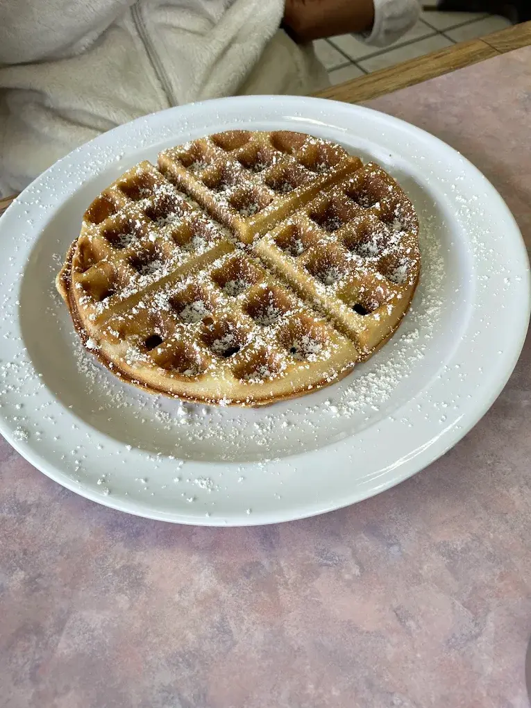 A golden Belgian waffle dusted with powdered sugar on a white diner plate